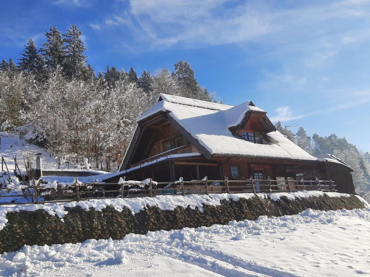 Eko Hisa Mozirje Villa Bagian luar foto